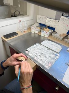 Le laboratoire Ariane Prothèse